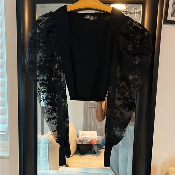 Elegant Black Sheer Sleeve Blouse - Picture 1 of 4